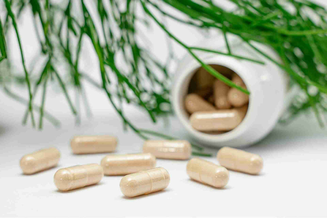 What is Huperzine-A